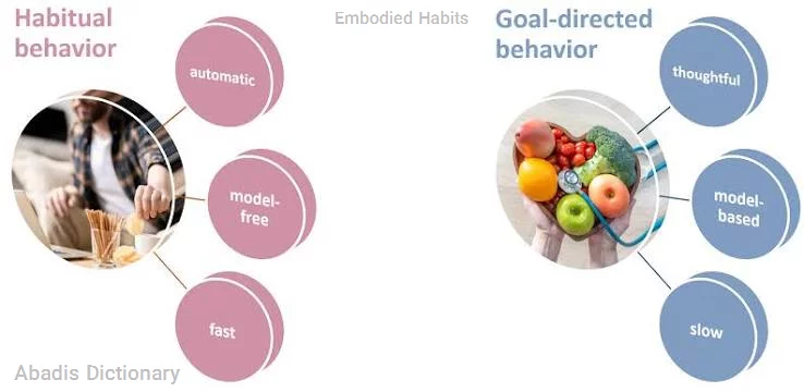embodied habits